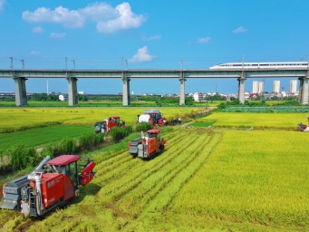 江西南昌：早稻收割陆续开展