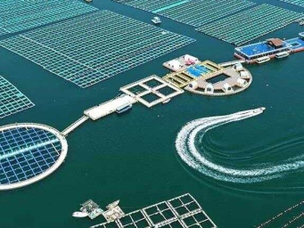 海洋牧场“唱响”海上渔歌