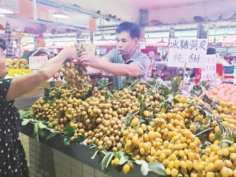 有口福！黄皮果悄然上市，夏日南宁果香满城